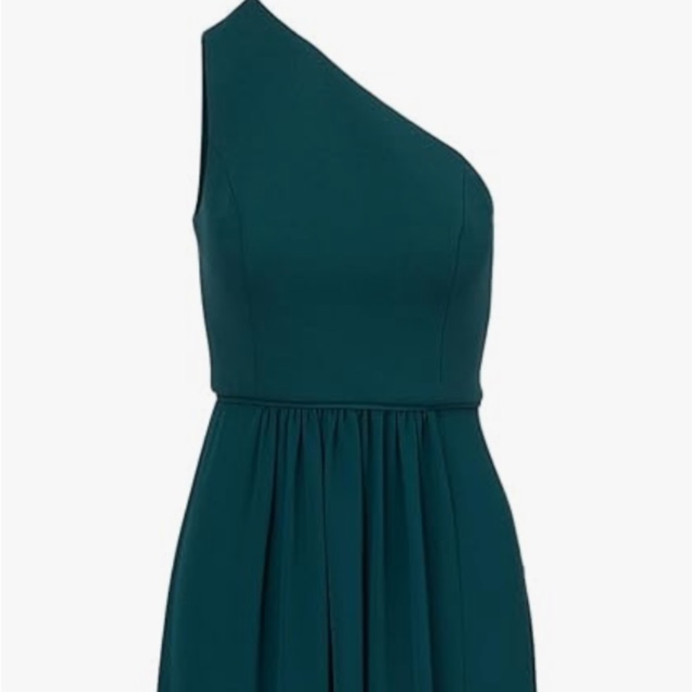 Beautiful Adrianna Papell One Shoulder Gown
